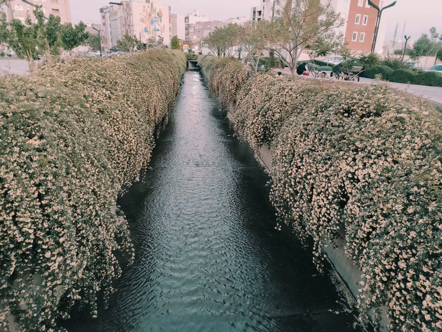 زمین فروشی باغی