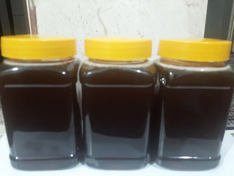 اجاره مغازه الهیه