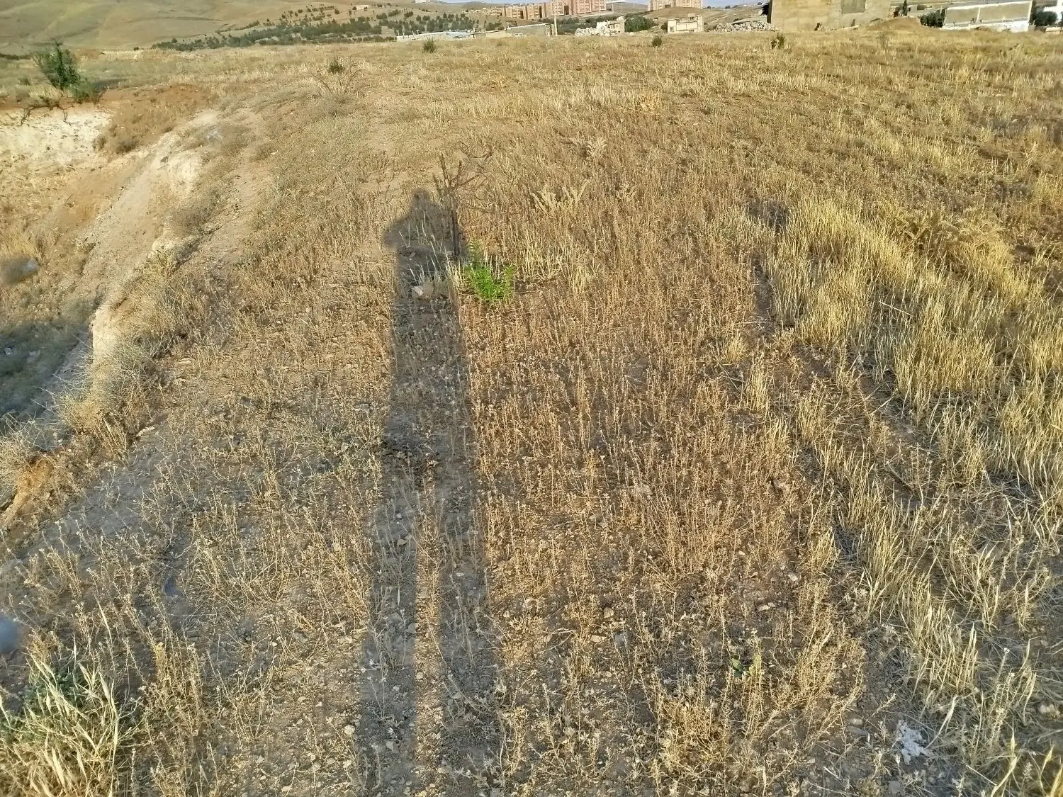 یه قطعه زمین ۲۰۰متری واقع در خط کمربندی
