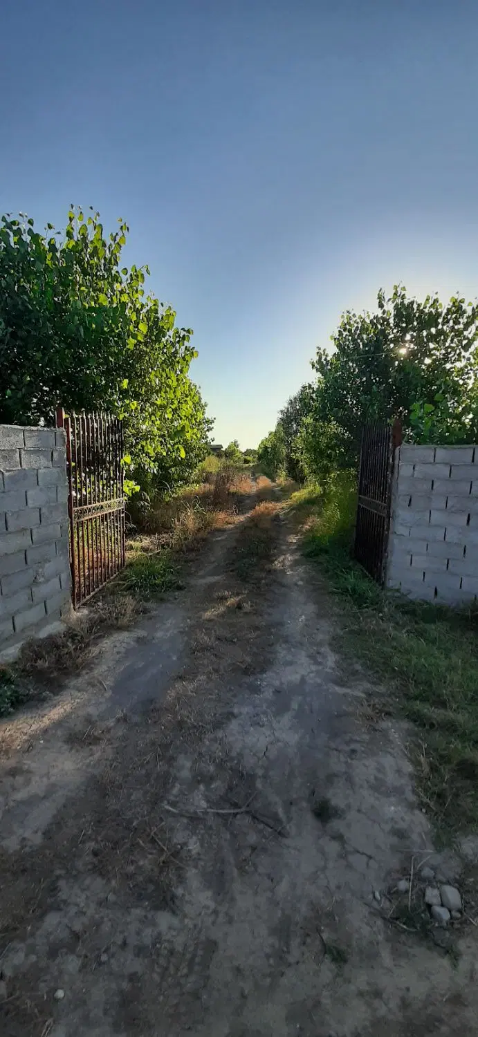 زمین باغی فروشی اقساطی