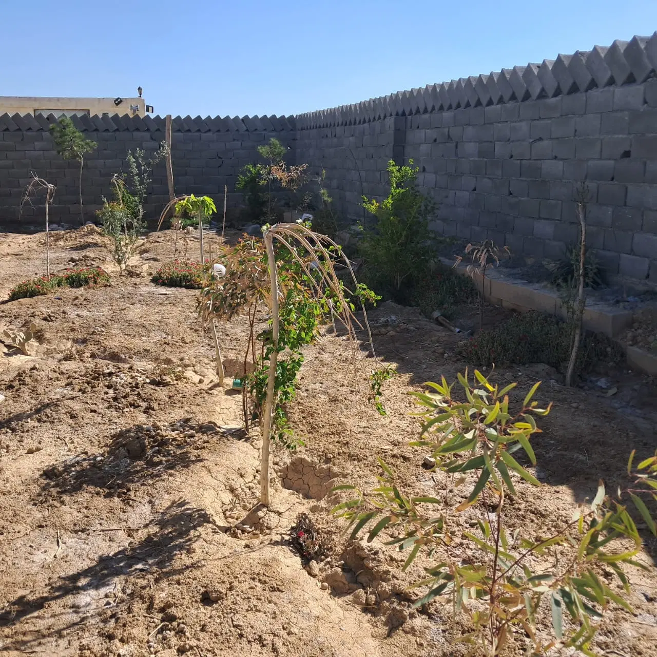 باغ ۱۵۰۰متری