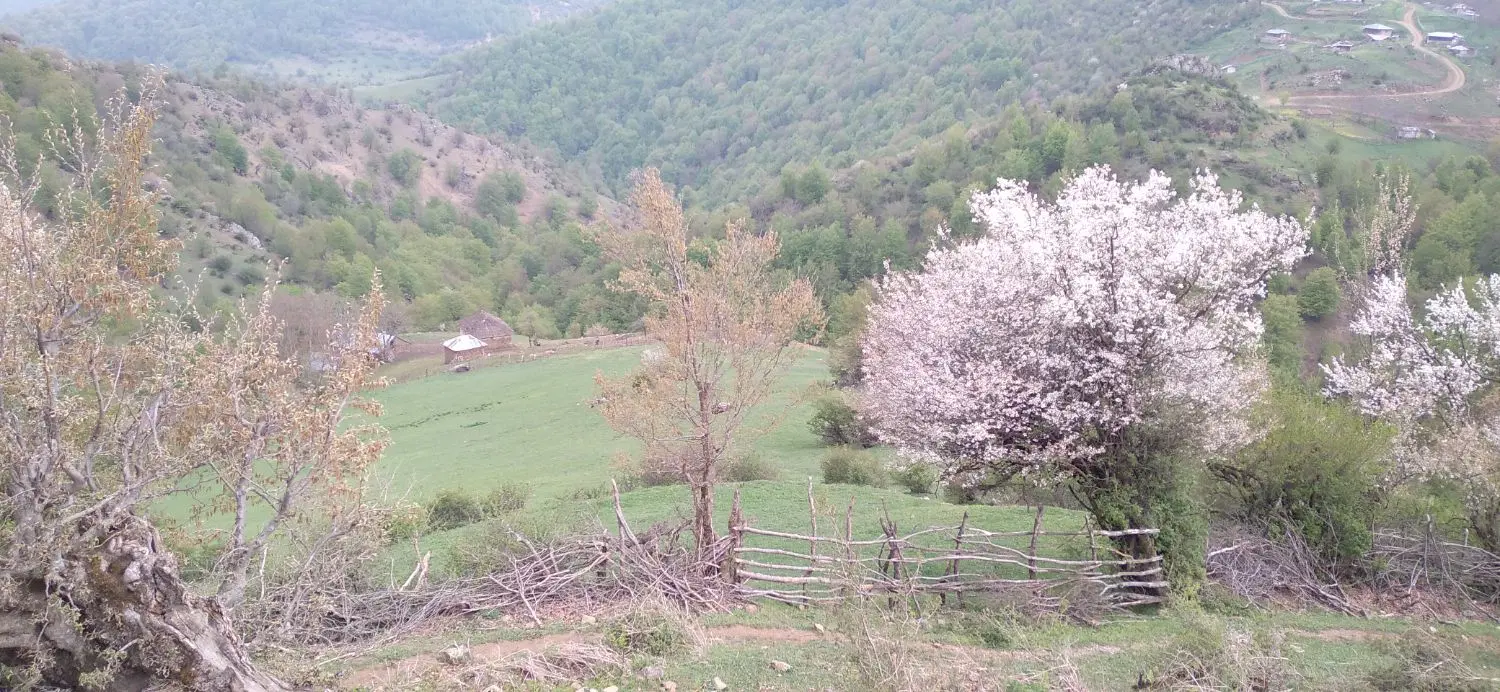 فروش زمین