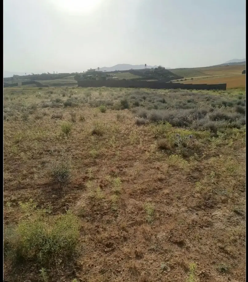 زمین ۱۰۰۰ متری کودیان