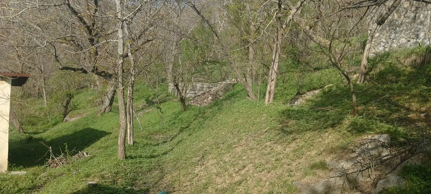فروش ۸۰۰ متر باغ در شهر تویسرکان (سرکان)