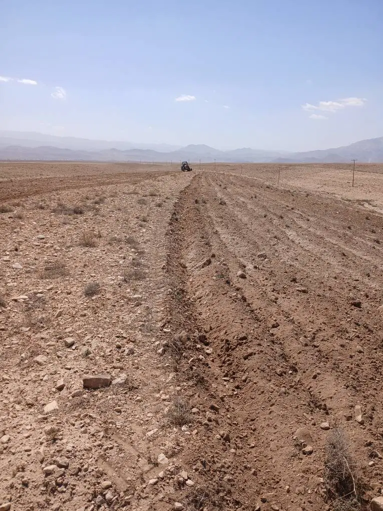 زمین دیمزارفیروزکوه