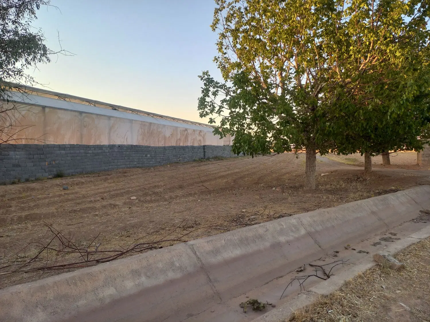 زمین باغی
