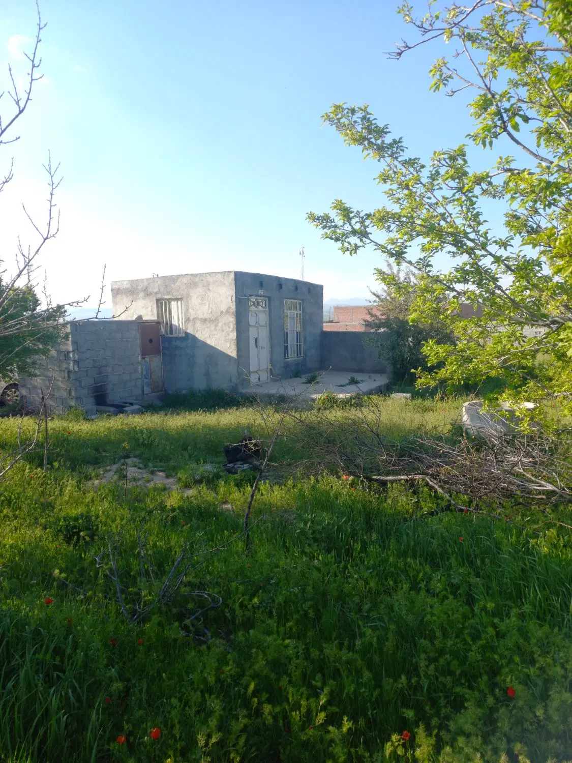 صفا باغ در روستای گل
