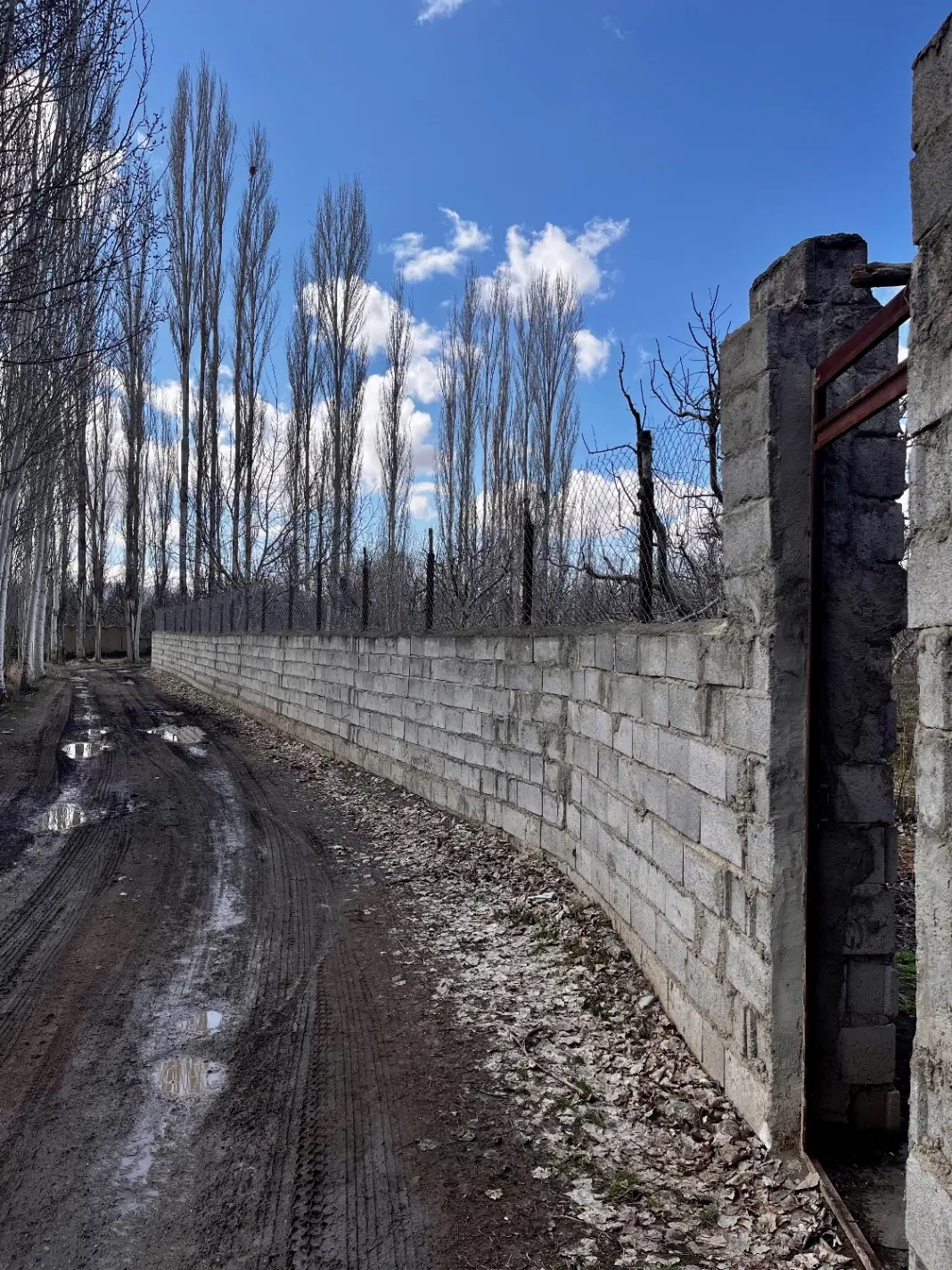 باغ ۱۰۰۰ متری دیوار کشی شده روستای سوره