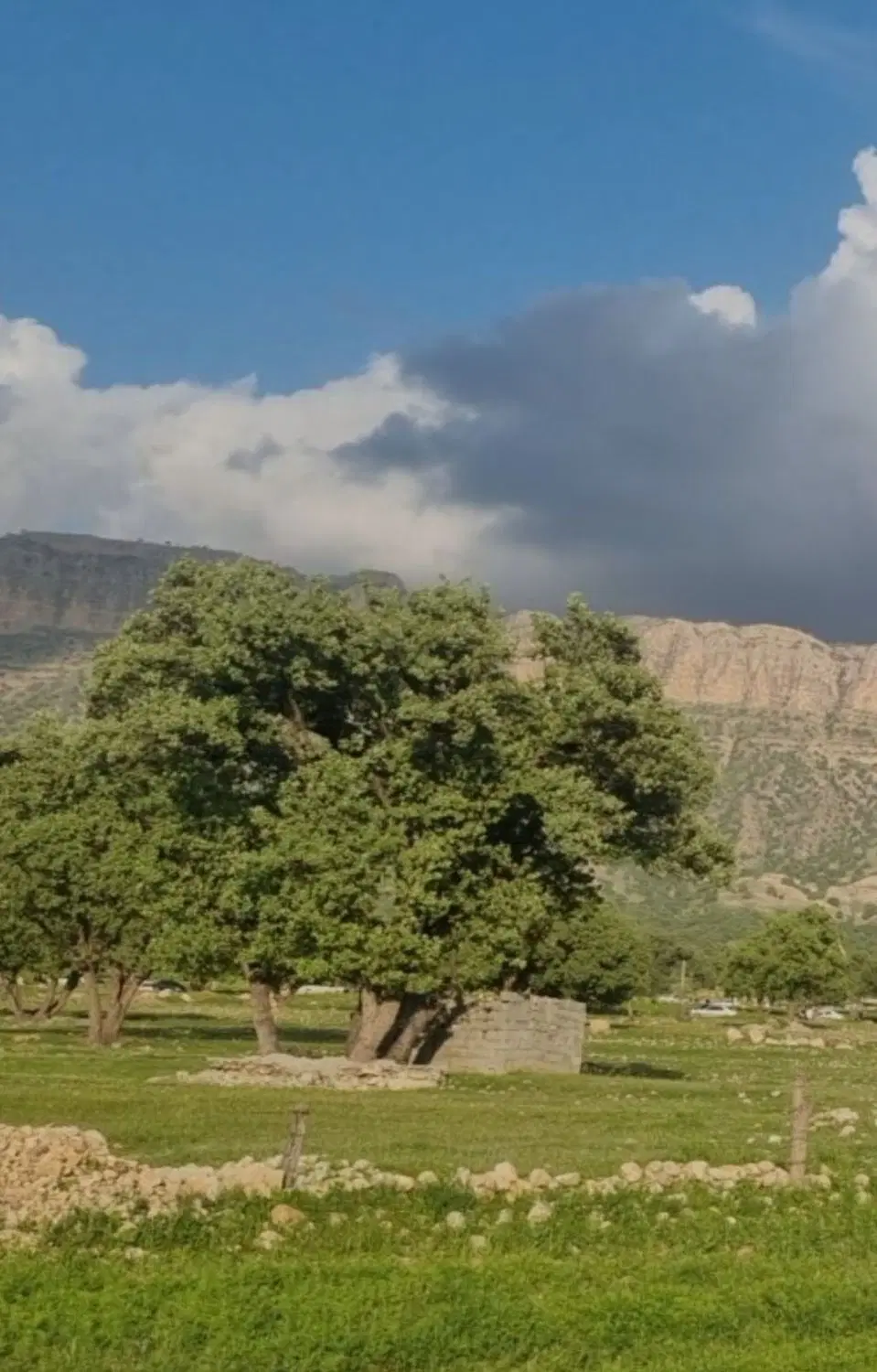 فروش زمین باغ شهری پشت تالار کوروش