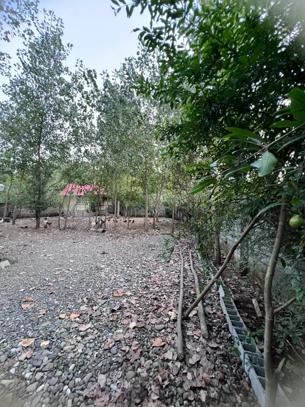 زمین مسکونی واقع در شهرستان لاهیجان به متراژ ۸۴۰.