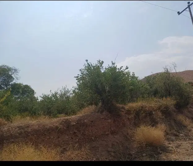 فروش باغ  ماهان