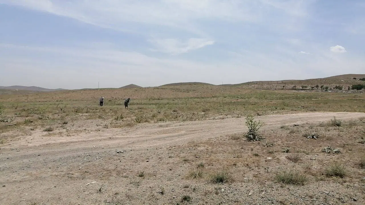 زمین مزروعی  در پشته نوغندر شاندیز