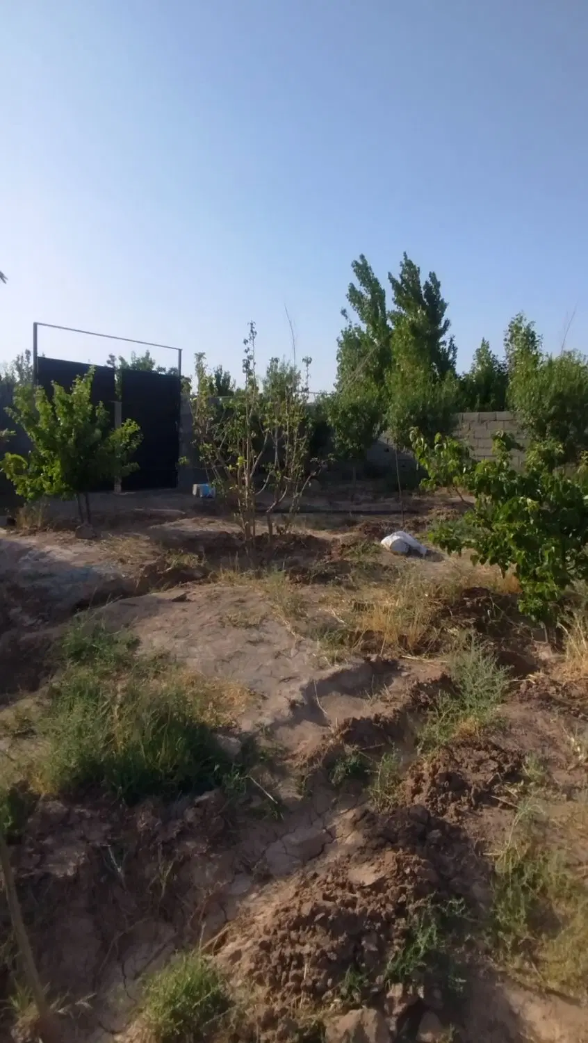 باغ450متری