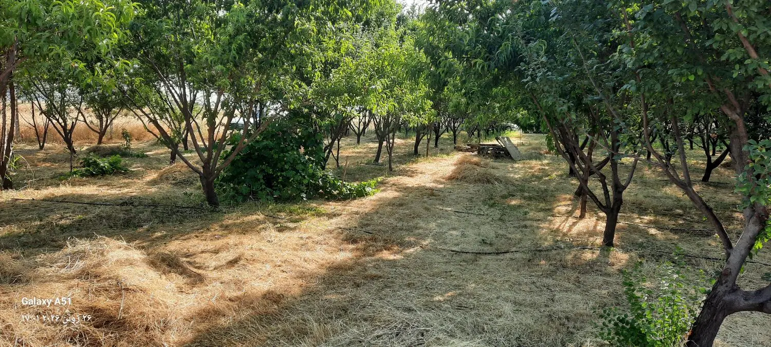 باغ ۴۰۰ متری  قزانچی