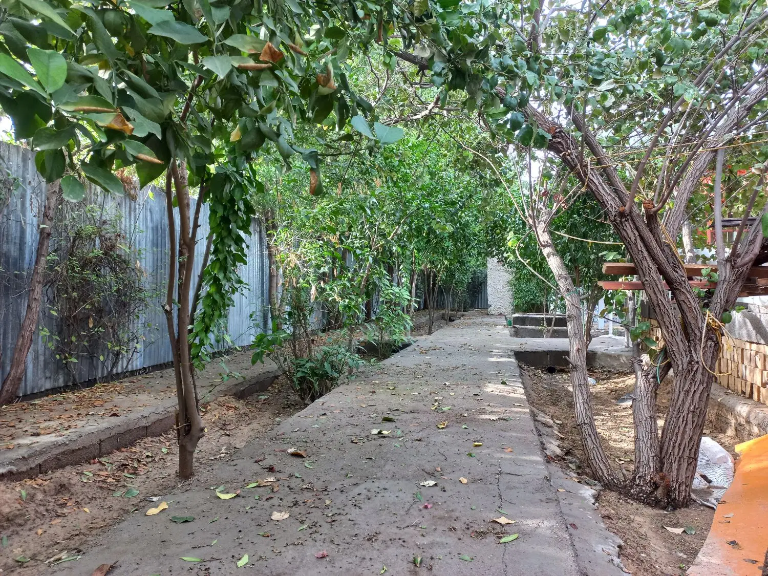 دوقطعه باغ ۶۰۰متری
