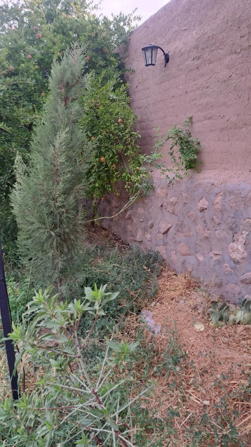باغ شهری