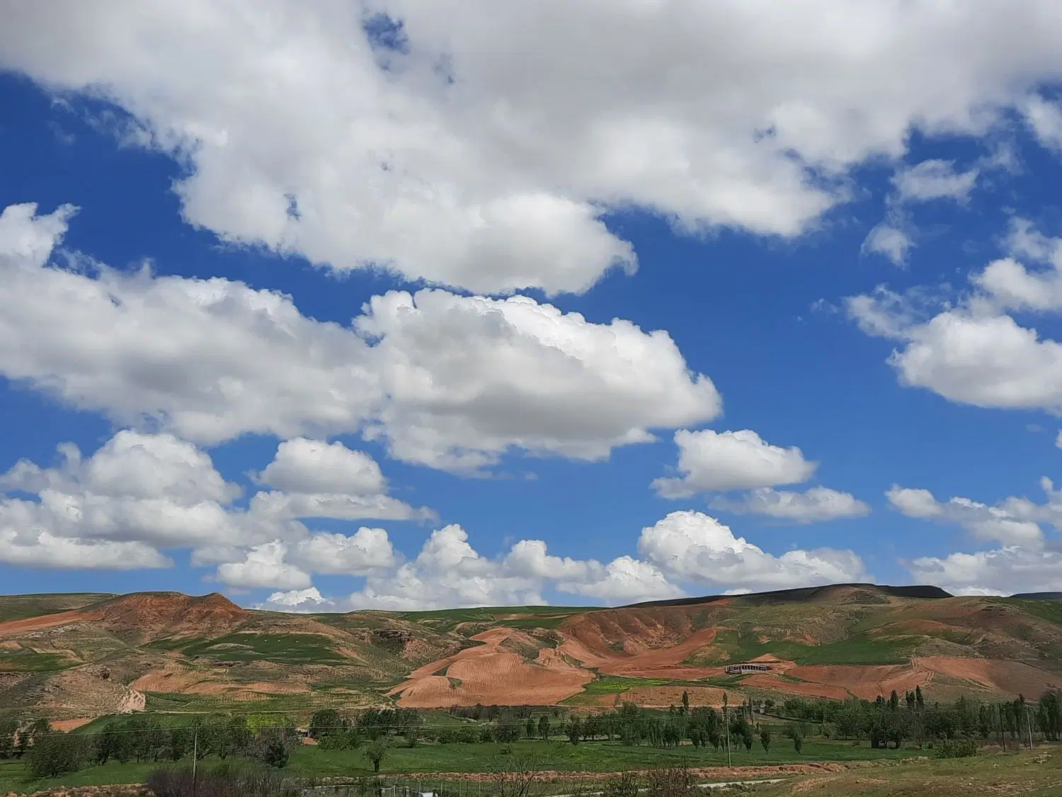 باغ فروشی نزدیک روستای حمید