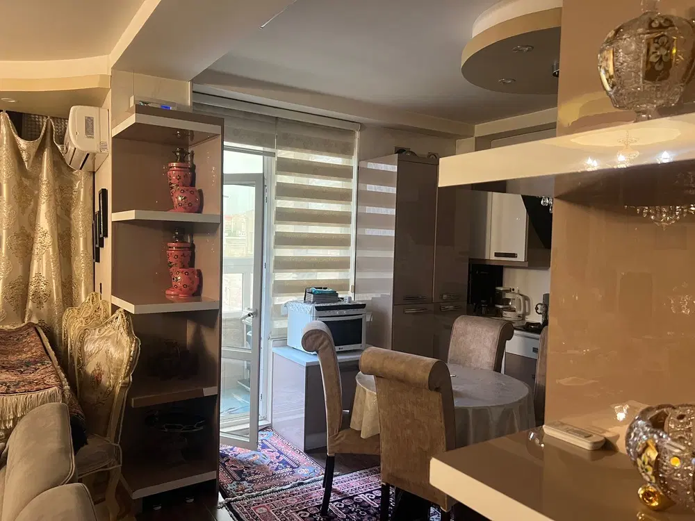 کارشناسان فازیک نگین