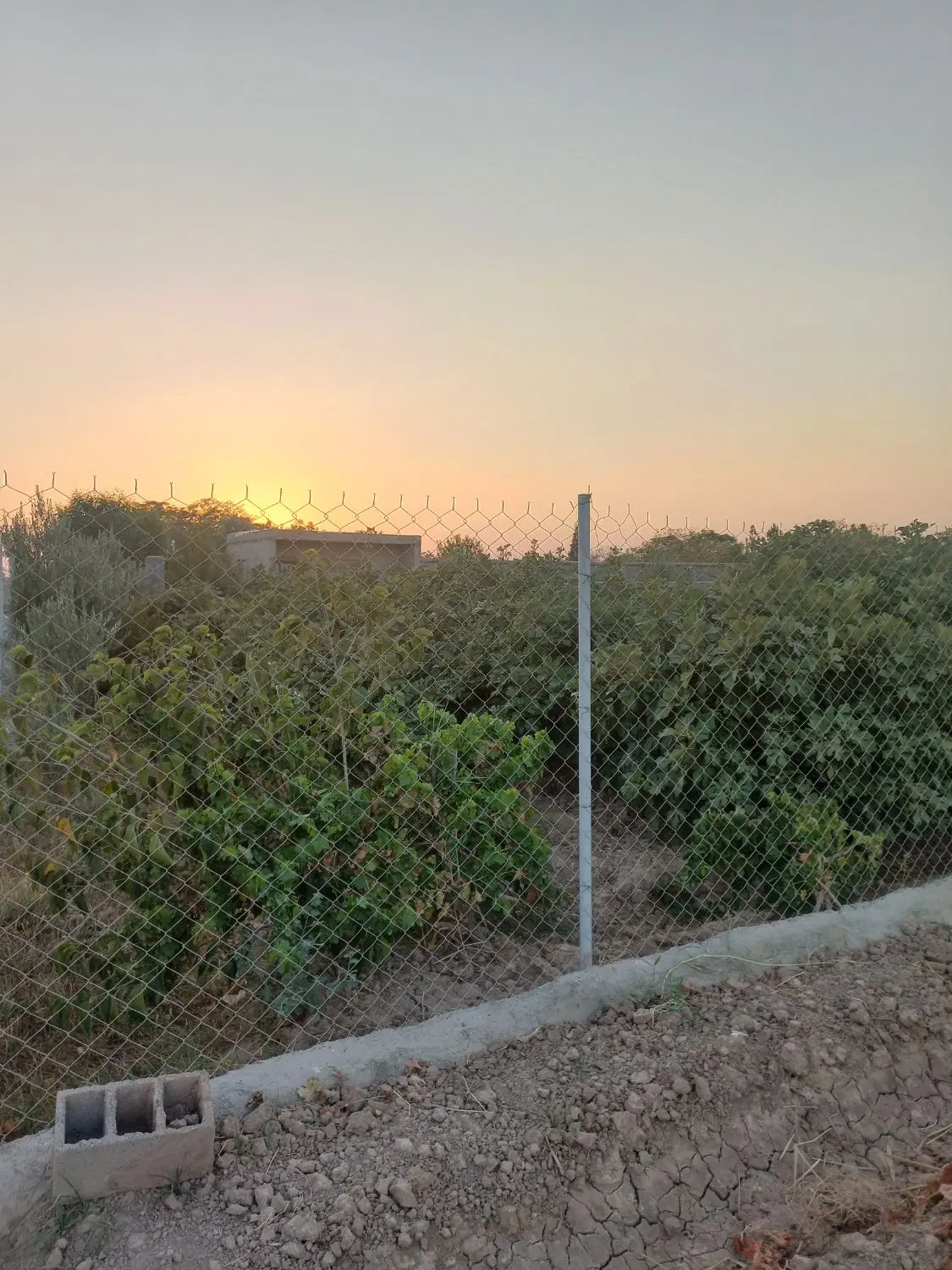 خانه باغ