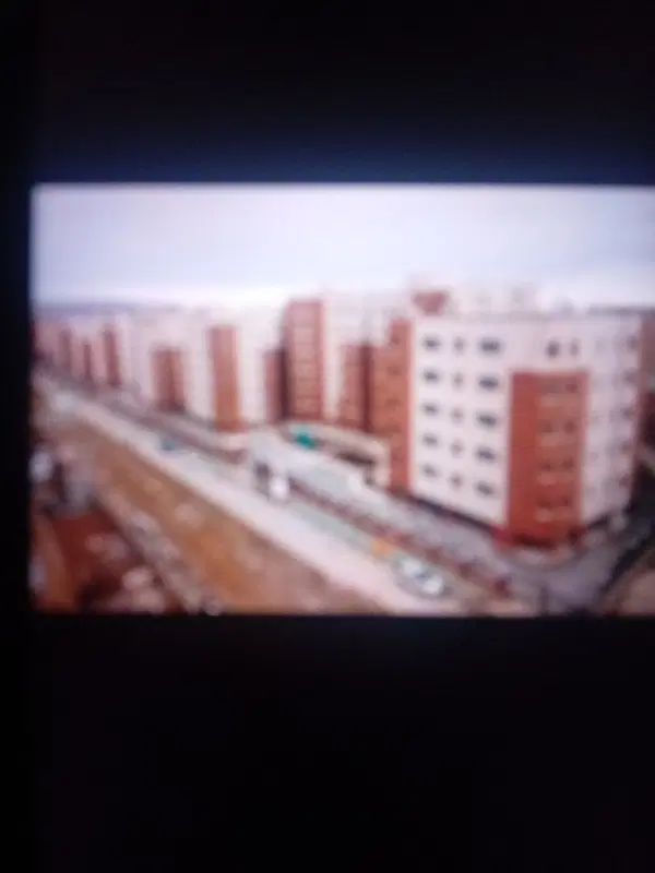 فیش مسکن