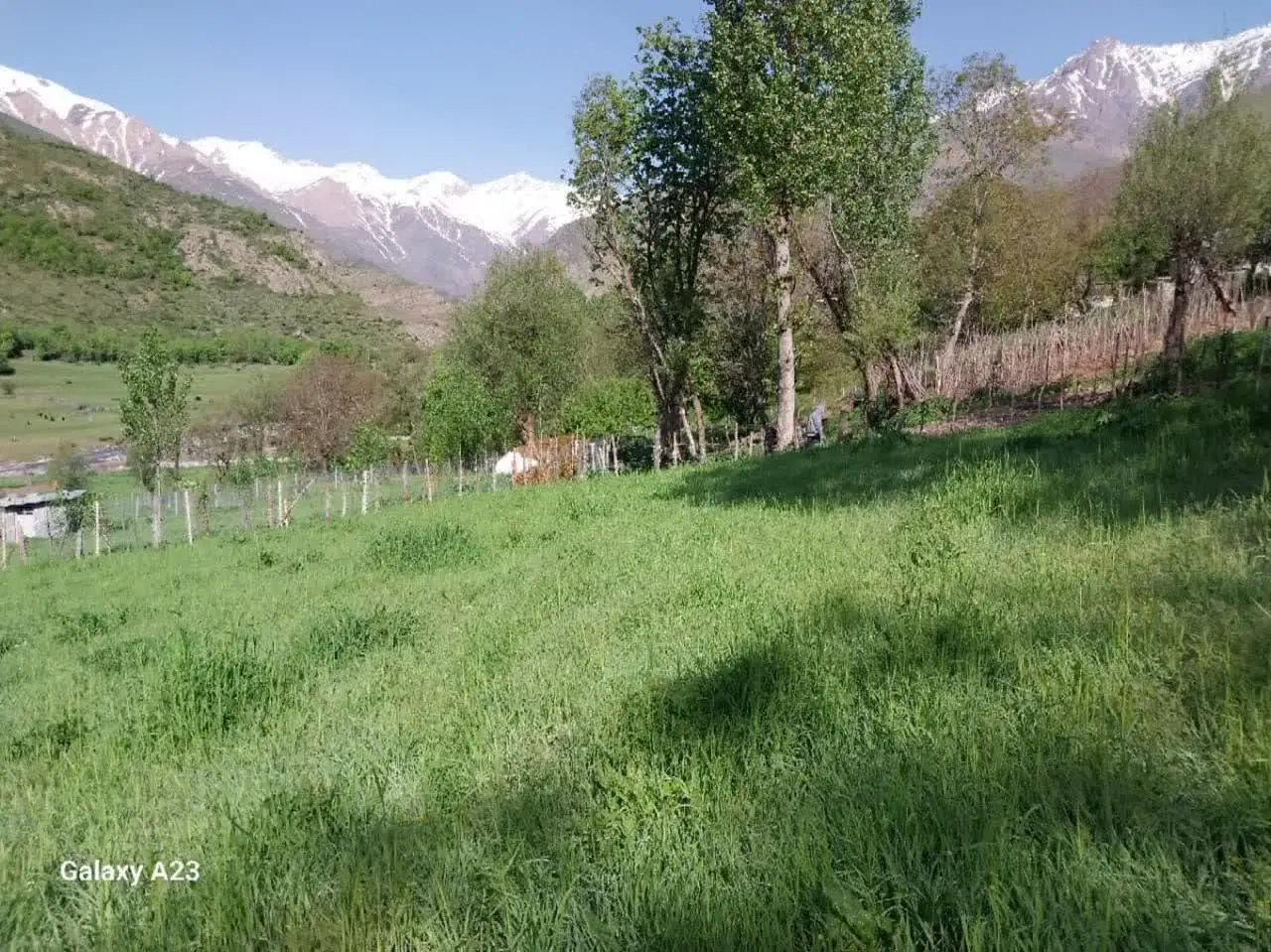 300 متر زمین در روستای الیت