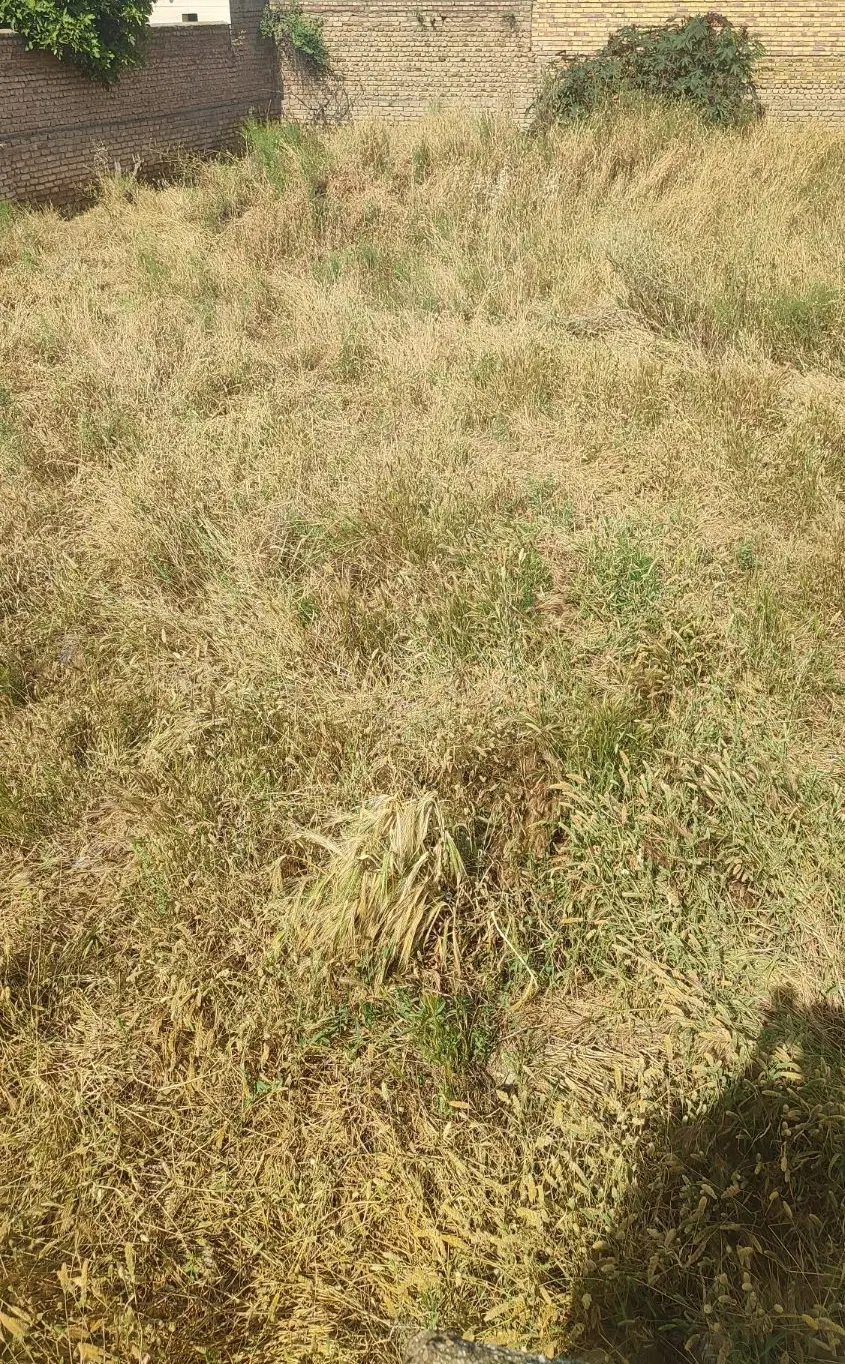 زمین فروشی
