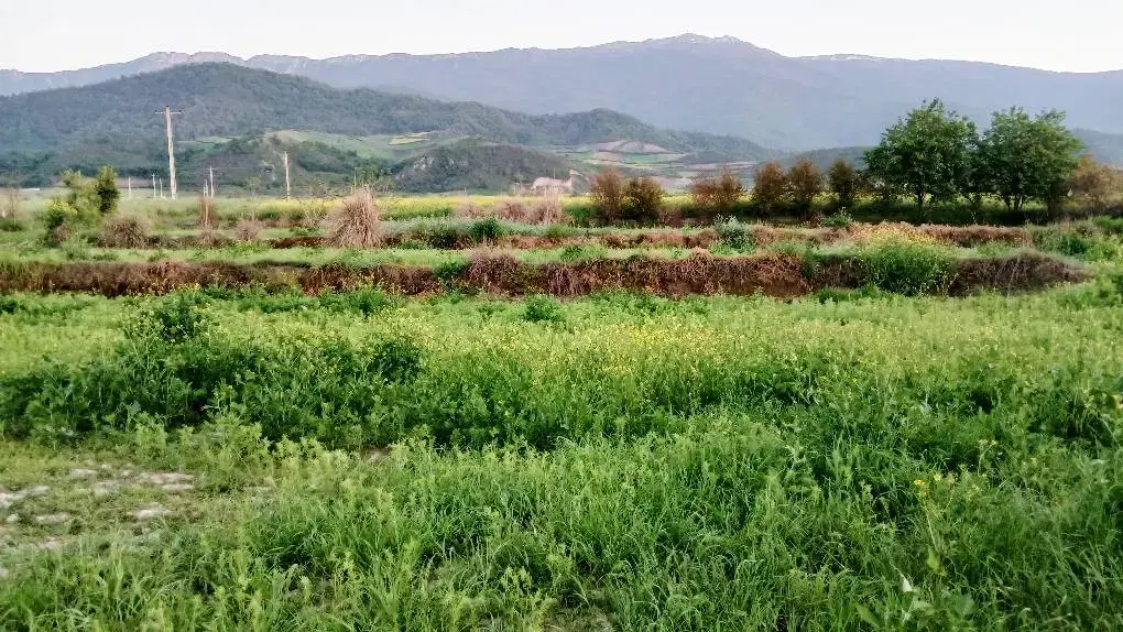 فروش زمین