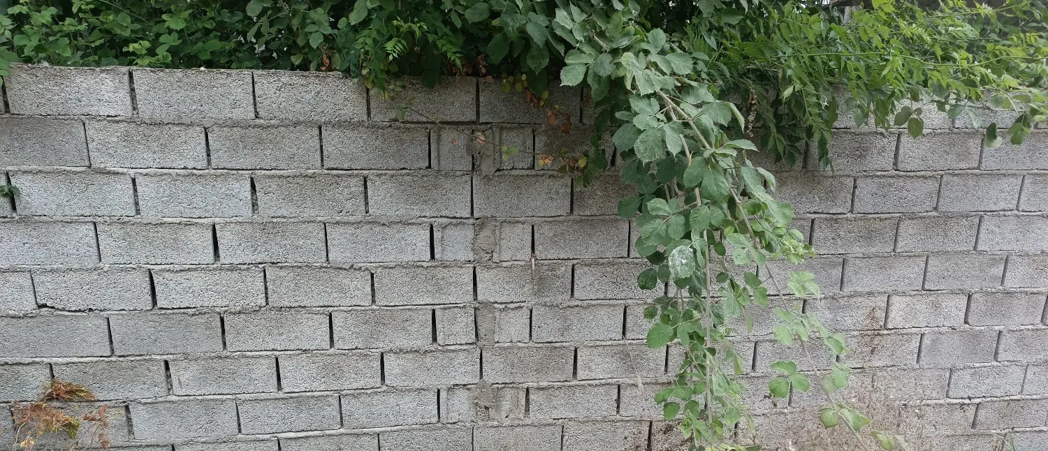 پلاک 160متری روبروی دریاکنار(صفاییه)