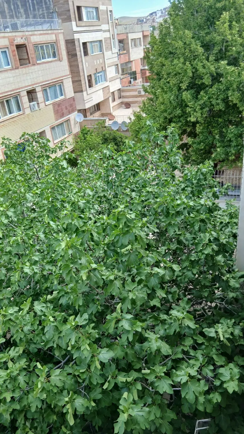آپارتمان دوخوابه  120 متری دکترحسابی
