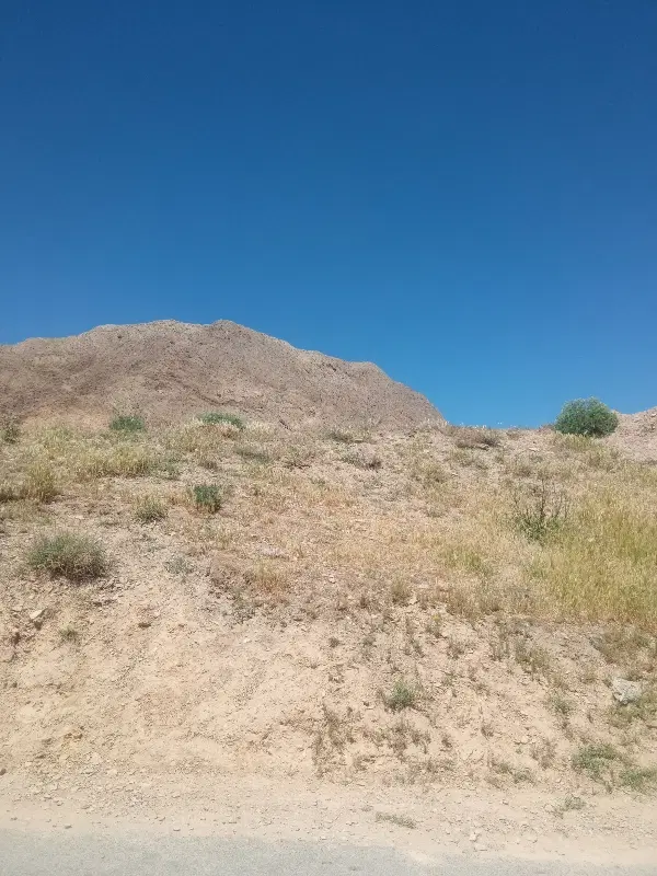 زمین ازناو معاوضه هم داریم