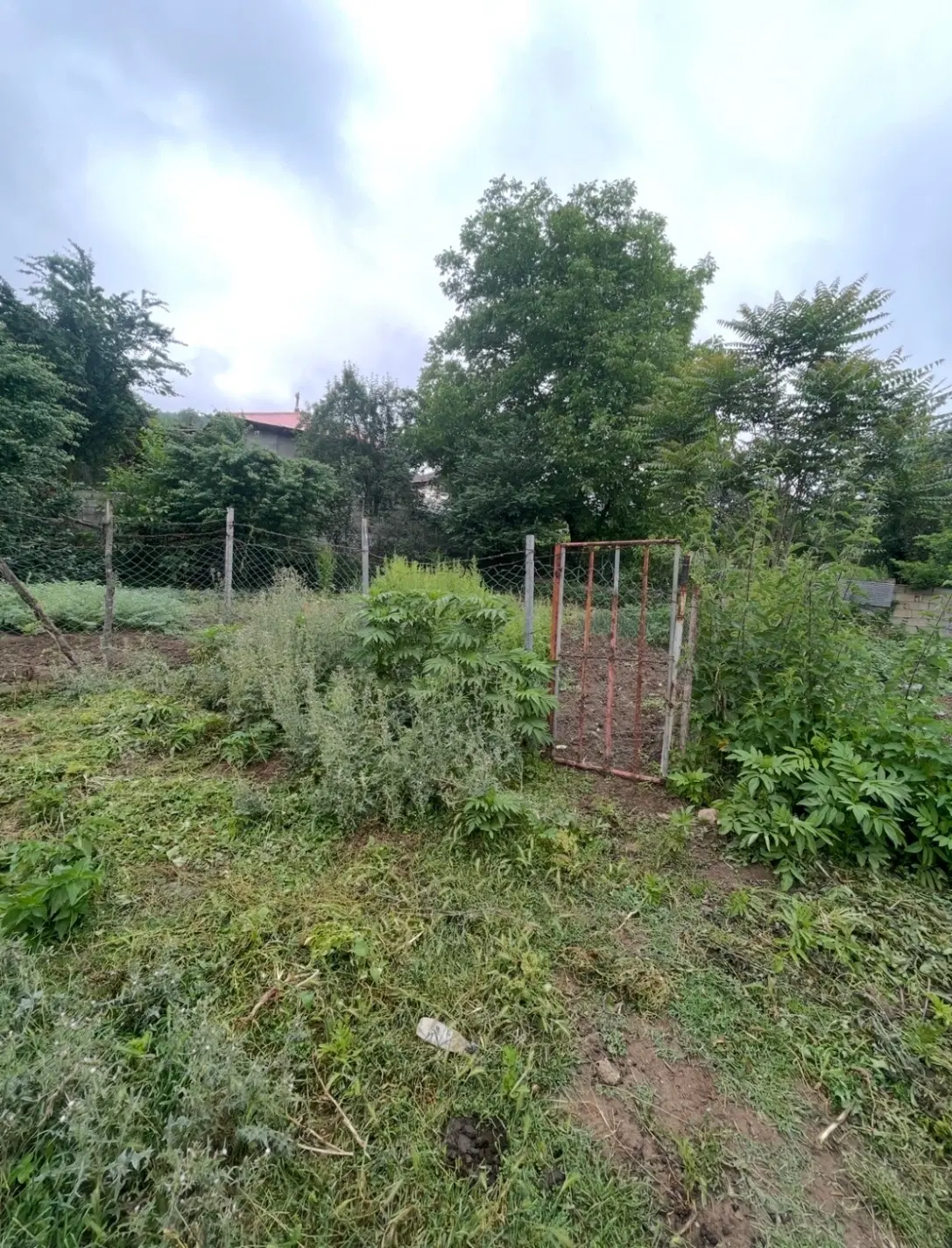 زمینی در زیباترین روستای سوادکوه-سنگده
