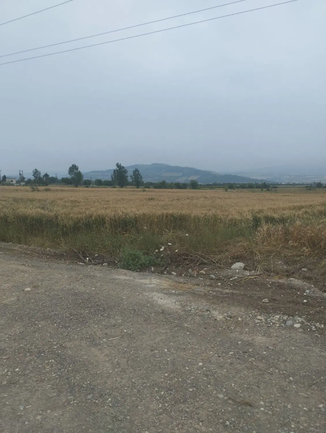 زمین کشاورزی کنار جاده اصلی ۱۸۰۰ متر سمت روشن اباد