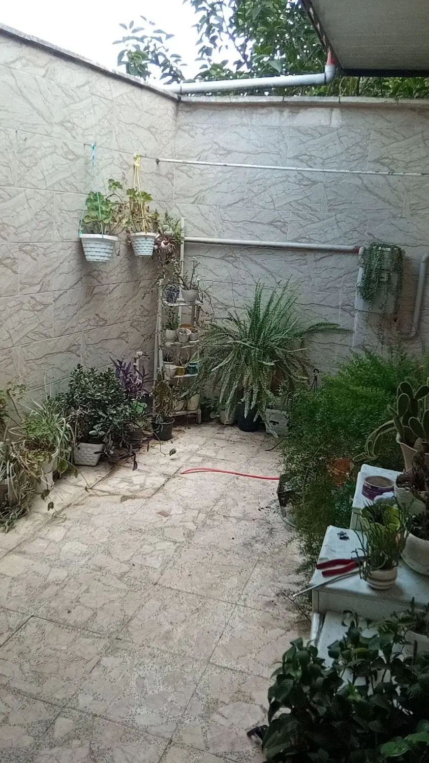 رفیق همیشگی(ویلایی ژ5 خانجانی)