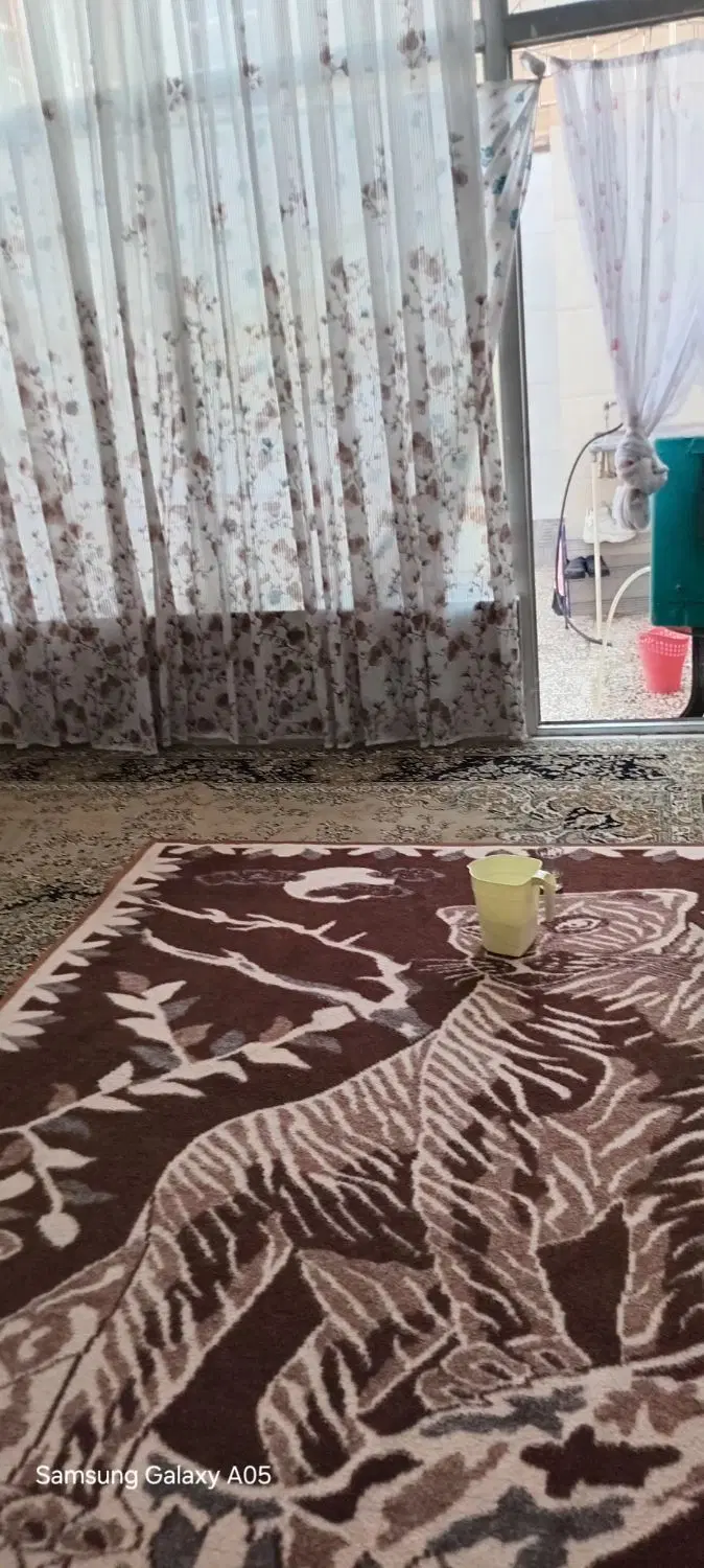 همخانه خانم