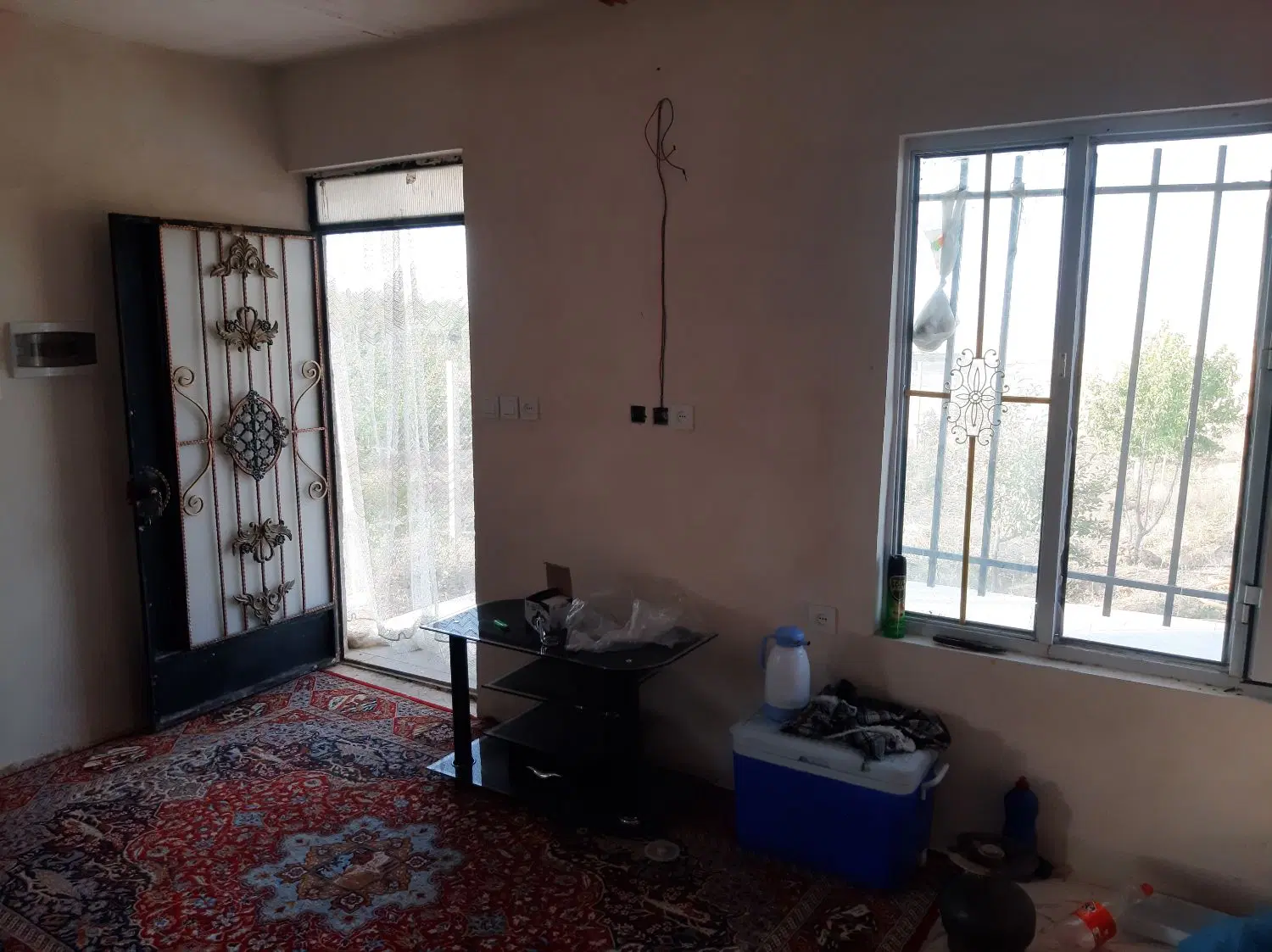 باغ میوه بارده
