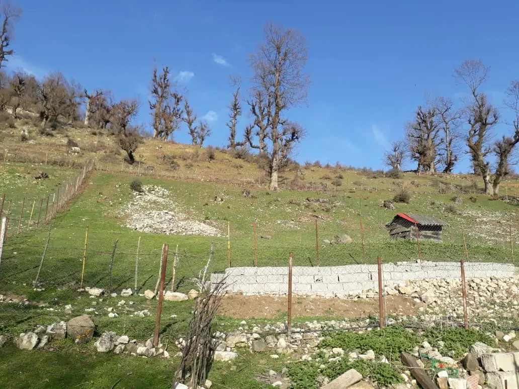 زمین ییلاقی