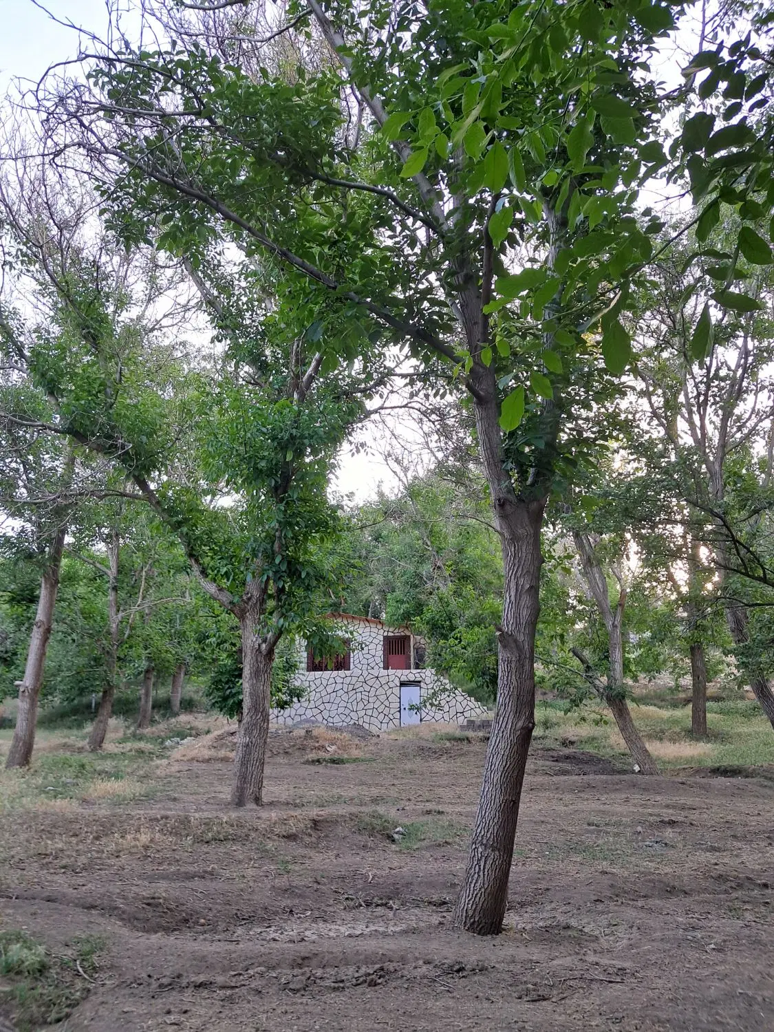 خانه باغ روستای شمس آباد با راه ماشین و امتیاز برق