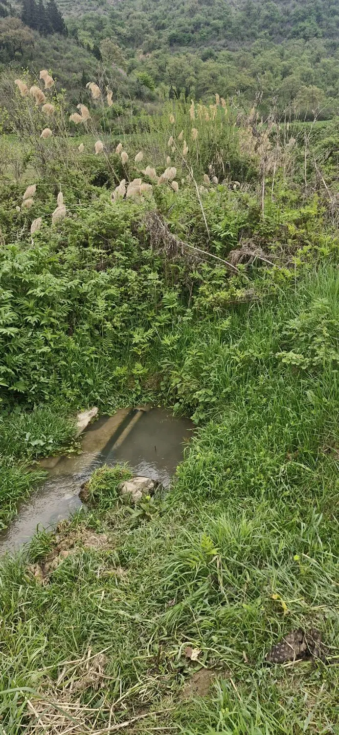 فروش زمین باغی