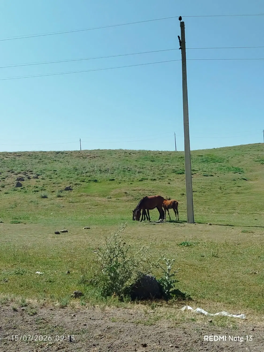 خانه ویلایی دوخواب اجاره ای