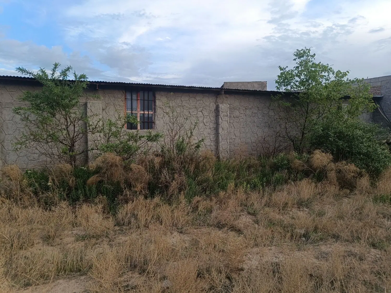 اجاره زمین مناسب گاوداری