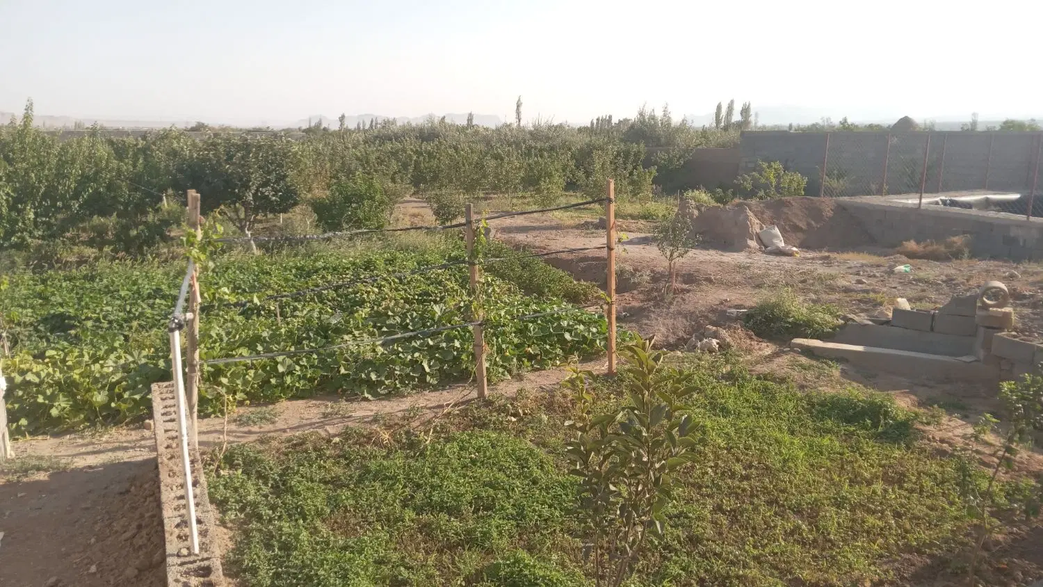 زمین تجاری و مسکونی