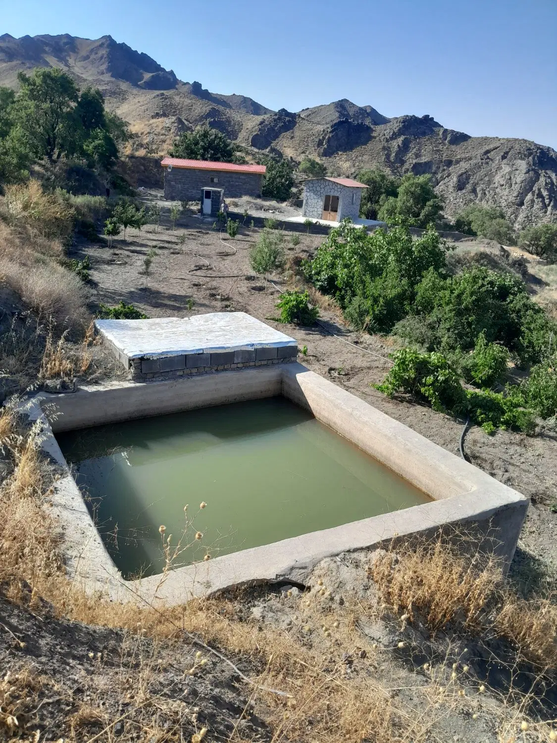 ویلا باغ