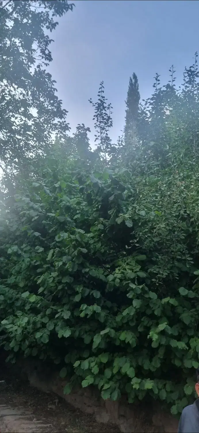 ۸۳۰۰ هزار متر