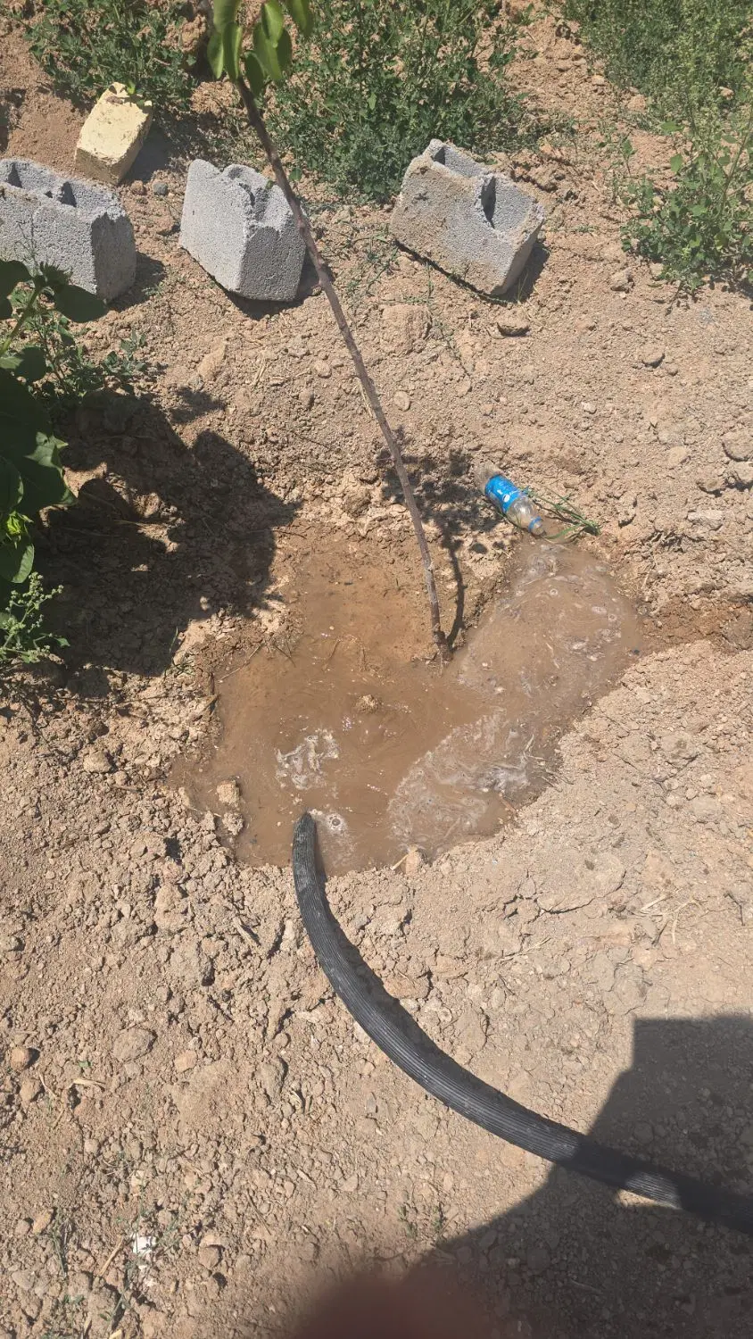 باغ ۳۸۰متری نقلی