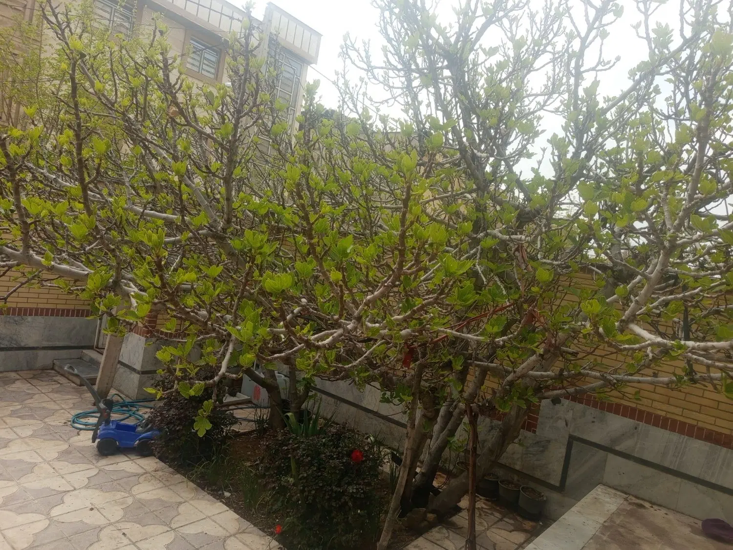 فروش منزل دو طبقه شهرک رضوان خیابان شهید رضایی