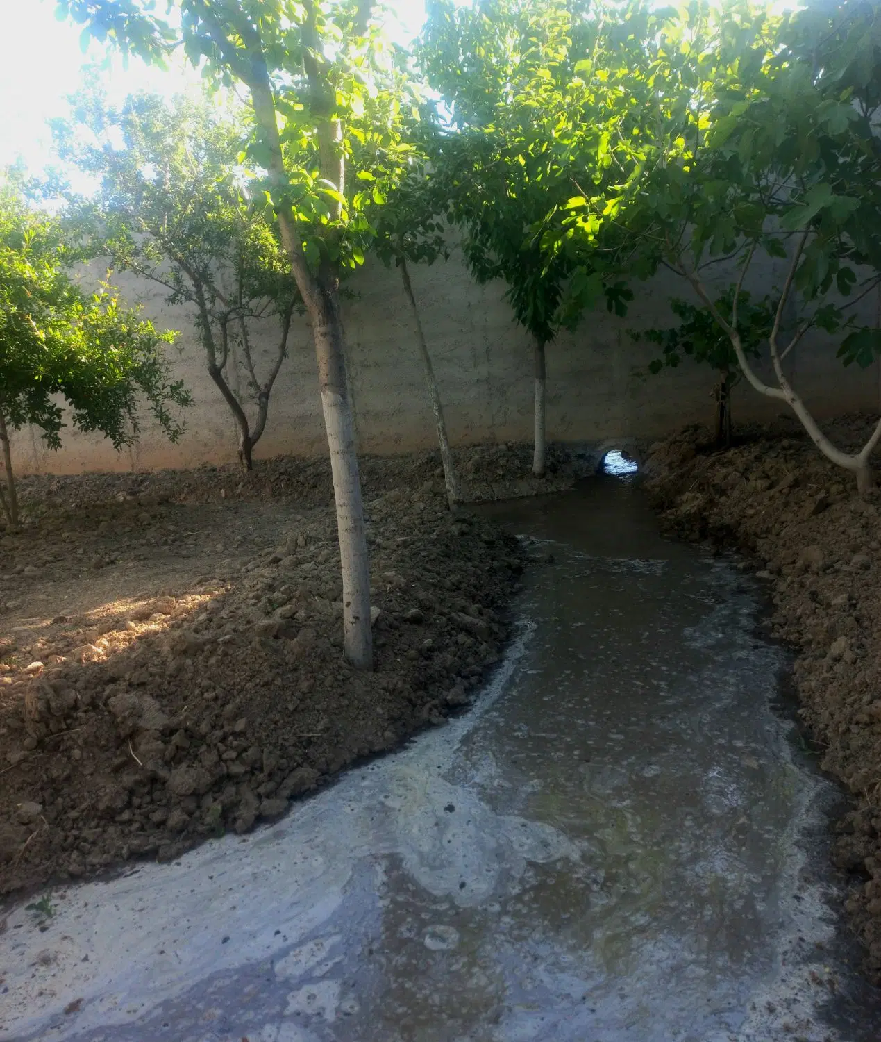 باغچه فروشی