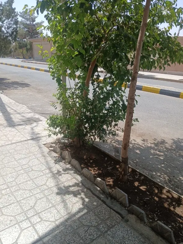 فروش باغ بادام