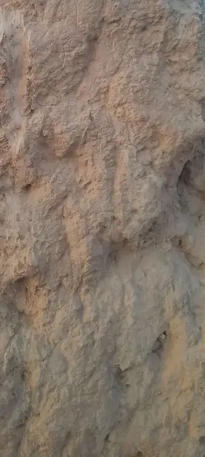 زمین