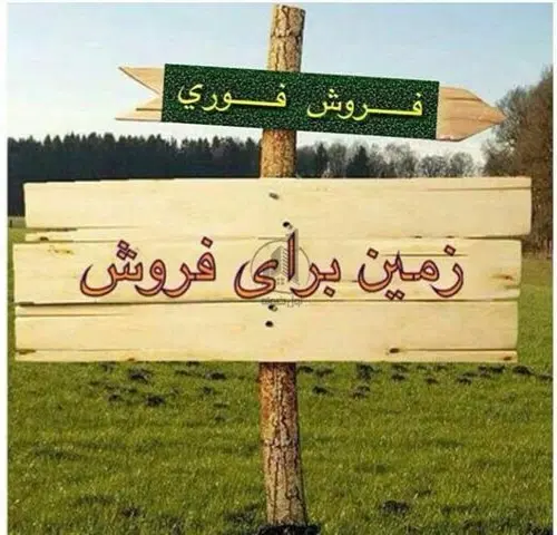 زمین کشاورزی شالیزار
