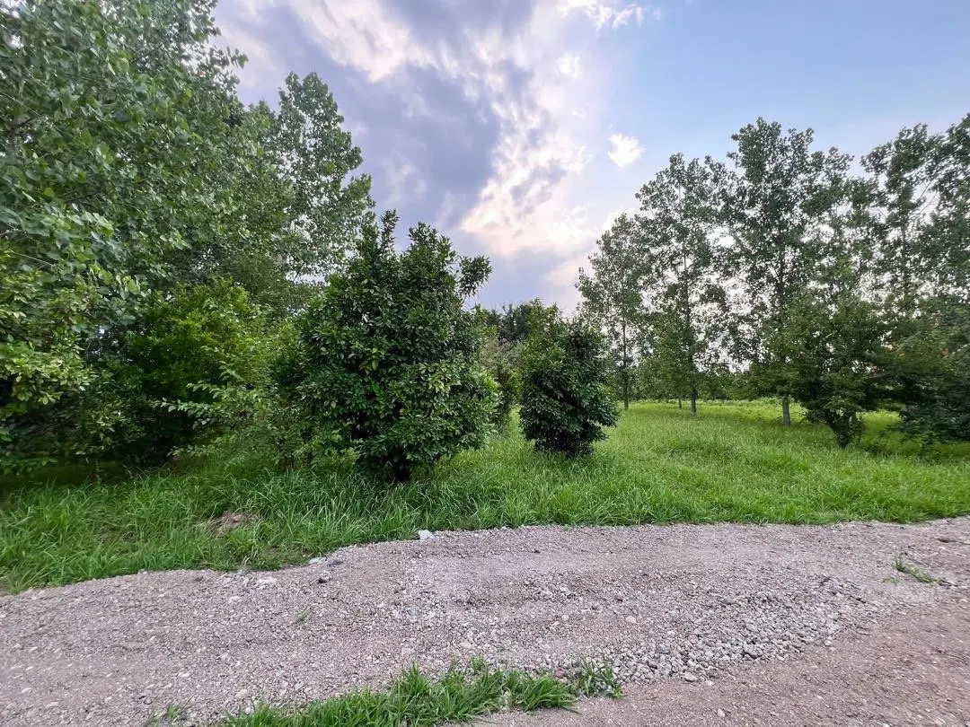 ۶۰۰ زمین مسکونی روستای کوزان